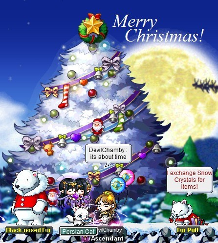 Merry Christmas greeting_conew1